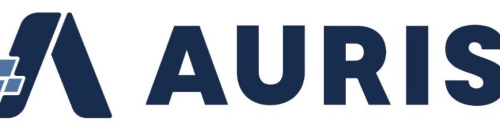 AURIS logo with a stylized "A" design in dark blue next to the word "AURIS" in bold, uppercase letters.