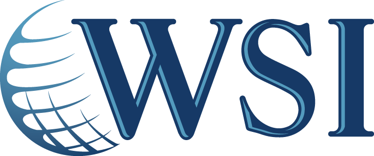 The WSI logo features the letters "WSI" in blue, with a stylized globe made of curved lines on the left.