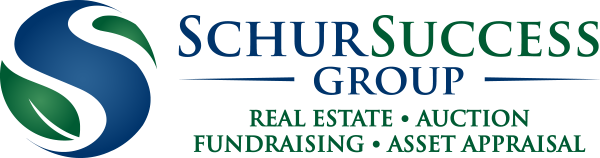 Schur Success Group logo with a stylized blue and green "S" symbol and text listing services: real estate, auction, fundraising, asset appraisal.